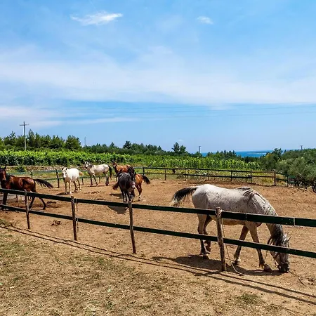 Estate De Nature Orebić