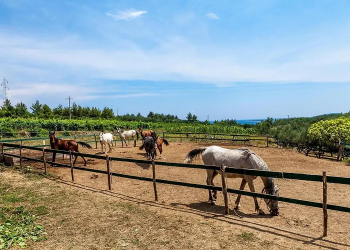 Estate De Nature أوروبيتش